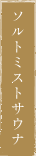 ソルトミストサウナ